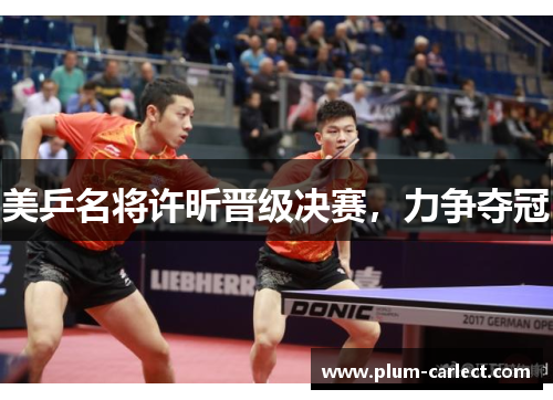 美乒名将许昕晋级决赛，力争夺冠
